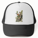 American Robin, John Audubon Print Hat