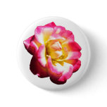 American Rose Society Miniature 038 Pins