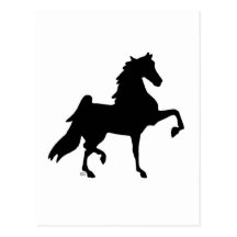 American Saddlebred Horse Post Card