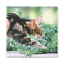 American Shorthair 7 Fridge Magnet
