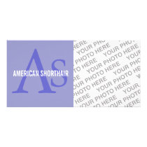 American Shorthair Monogram Design
