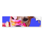 American Staffordshire Terrier Boxer Mix Puppy Dog