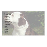 American Staffordshire Terrier Business Card Templates