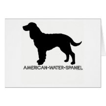 American Water Spaniel Card