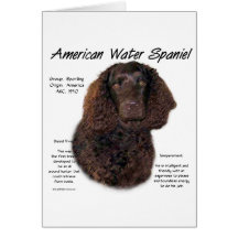American Water Spaniel History Design Card