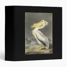 American White Pelican, John Audubon 3 Ring Binder