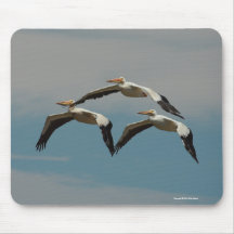 American White Pelican Mousepad 3