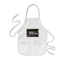 Americana -  We sell Ice Cream Apron