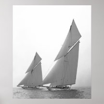America's Cup Defenders Poster