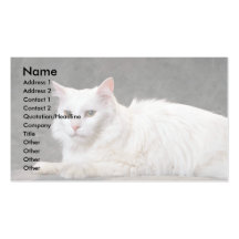 Ami Cartes De Visite Personnelles