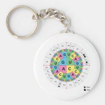 Amino Acid Base Sequence Table Diagram Key Chains