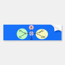 Amino Acid Diagram Bumper Stickers
