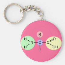 Amino Acid Diagram Key Chain