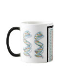 Amino acids mug