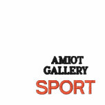AMIOT GALLERY SPORT