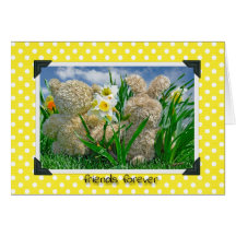 Amis de nounours et de lapin cartes