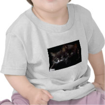 Amis T-shirt