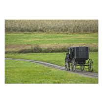 Amish buggy on farm lane, Northeastern Ohio,
