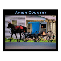 Amish Buggy Postcard