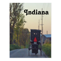 Amish Buggy Postcard