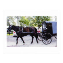 Amish Buggy Ride Post Cards