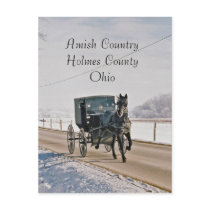 Amish Country Horse and Buggy-Postcard