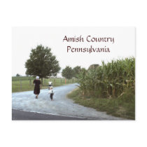 Amish Country Pennsylvania PA Post Cards