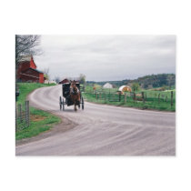 Amish Country Road Postcard