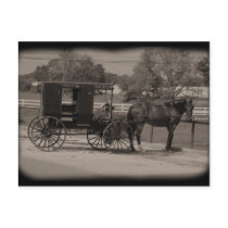 Amish Country Sugarcreek,Ohio Postcard