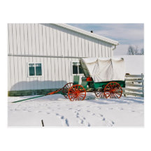 Amish Covered Wagon-Postcard