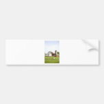 Amish Farm Bumper Stickers