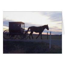 Amish Horse and Buggy Cards