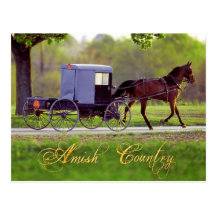 Amish Horse and Buggy, Lancaster, PA Post Card