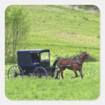 Amish horse and buggy near Berlin, Ohio. Sticker