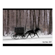 Amish Horse and  Buggy Postcards
