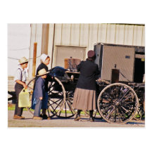 Amish Loading Buggy Postcard