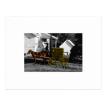 amish woman postcards