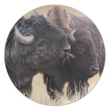 amitié de bison assiettes