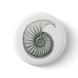 Ammonite 1 pinback button