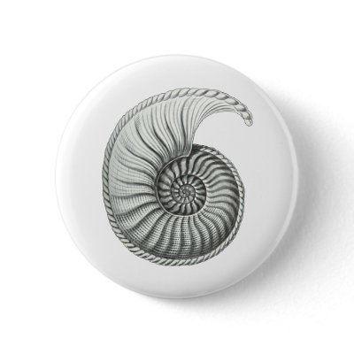 Ammonite 1 pinback button by CartesianBear
