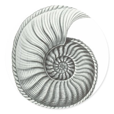 Ammonite 1 stickers by CartesianBear