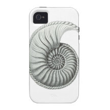Ammonite Case For The iPhone 4