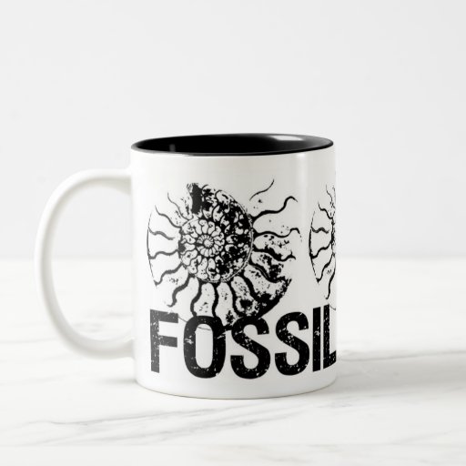 Ammonite de ROCHE de FOSSILES Tasse