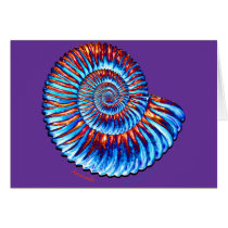 Ammonite fossil card