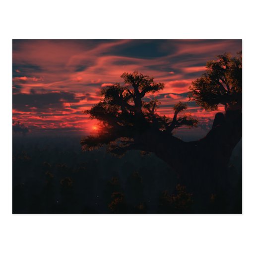 Among The Ancients Postcard