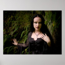 Among the Ferns