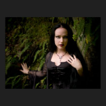 Among the Ferns posters
