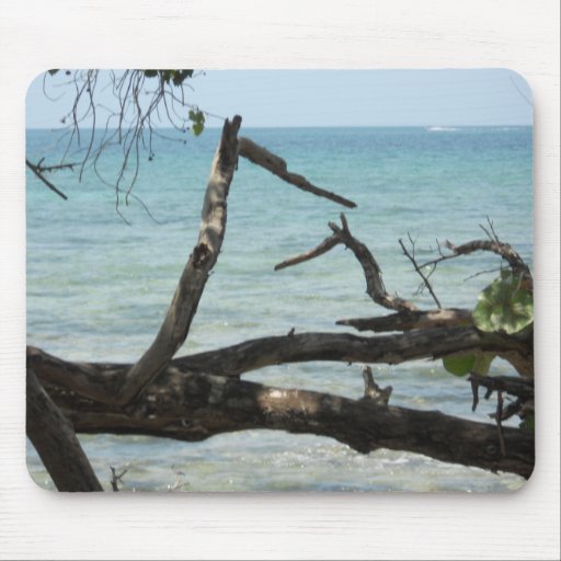 Among the Mangrove Trees Negril Beach Mousepads