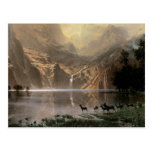 Among the Sierra Nevada Mountains Postcard