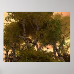Amongst The Trees Posters